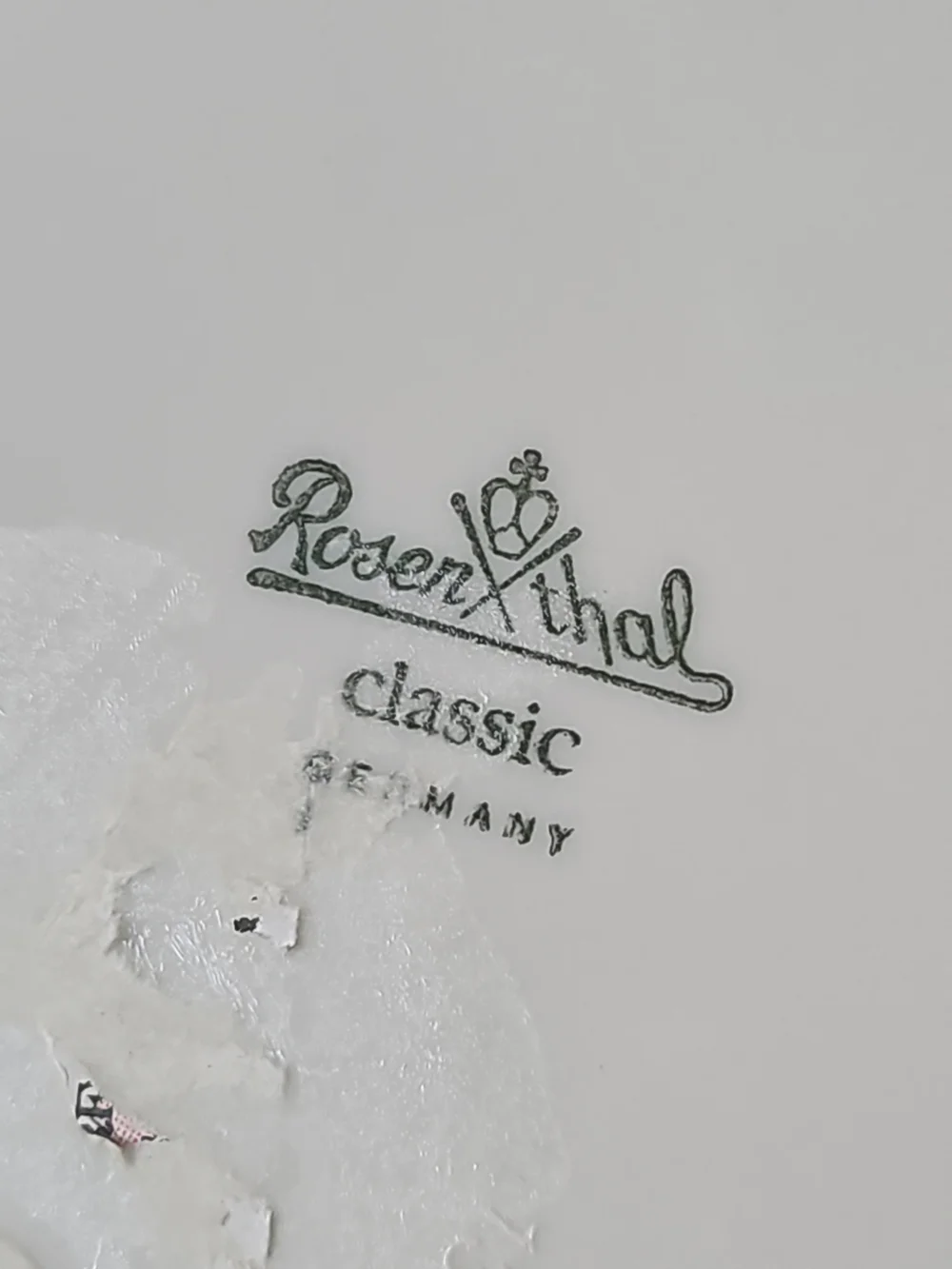 Rosenthal Germany MOSS ROSE Collection porcelain 9.5